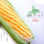 [. тест Gold ]10шт.@.. кукуруза [ Hokkaido .. просо ] утро ..! Hokkaido прямая поставка от производителя!to поплавок bi бесплатная доставка 