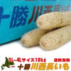  Tokachi река запад батат 10kg(3L~4L размер. китайский ямс ) подлинный . белый ... мелкий мясо качество. ....... клубень бесплатная доставка 