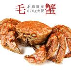  шерсть .570g передний и задний (до и после) ×1 хвост Hokkaido шерсть ..1 кубок ( Hokkaido производство огромный шерсть .) Boyle kegani( рефрижератор четырёхугольный волосатый краб )( jumbo шерсть . очень большой шерсть ..)
