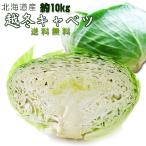 . зима капуста 10kg[ Hokkaido специальный продукт ] Hokkaido производство . зима ....[ мир холод блок *.. блок ].. хруст. зуб отвечающий .[ бесплатная доставка ]