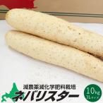 ネバリスター 10kg【3Lサイズ】北海道特産品の長いも 通常の長芋の2倍以上の粘りと滑らかな舌触りの新品種の長いも【送料無料】