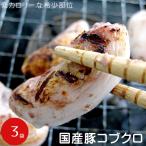 国産豚コブクロ 500g×3袋 計1.5kg≪低