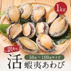 あわび アワビ 鮑 蝦夷あわび 活蝦夷あわび （12個〜18個入）1000g  蝦夷あわび 蝦夷アワビ お歳暮 高級食材ギフト 食べ物 お歳暮ギフト 歳暮