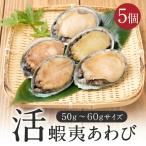 訳あり あわび アワビ 鮑 蝦夷あわび  活蝦夷あわび 50g-60gサイズ 5個入り 蝦夷あわび 蝦夷アワビ お歳暮 高級食材 お歳暮  歳暮