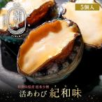 あわび アワビ 鮑 蝦夷あわび  希少種 紀和味 50g-60gサイズ 5個入り 蝦夷あわび 蝦夷アワビ お歳暮 高級食材 食べ物 お歳暮ギフト