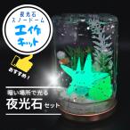 【夏休み工作!】不思議な光! 手作り工作キット「夜光石スノードーム」小学生・低学年・中学年・高学年・男の子・女の子・自由研究・冬休み・春休み・子ども会