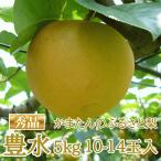�y�L���z���܂���̂ӂ邳�Ɨ� �L��5kg�F10~14�ʁy�G�i�z