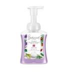 レキットベンキーザー ミューズ ボタニカル 本体 250ml