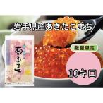 令和6年産(白米)岩手県産あきたこまち 10kg お米 精米 送料無料