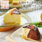 母の日 ギフト チーズケーキ 天空のチーズケーキ食べ比べセット (プレーン ショコラ) 誕生日 人気 バスク