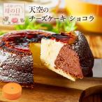 母の日 ギフト チーズケーキ 天空の