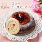 母の日 ギフト 送料無料 天空のチーズケーキショコラ ふわふわ 濃厚 クリスマス バスクチーズケーキ