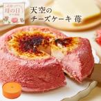 母の日 ギフト チーズケーキ 天空の