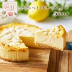 母の日 ギフト チーズケーキ 天空の