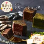 父の日 ギフト 天空のテリーヌショコラ キューブ アソート 9個入り 抹茶 トンカ豆 チョコレート テリーヌ