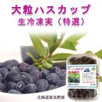  крупный - s cup сырой рефрижератор реальный ( специальный отбор )400g Hokkaido . хорошо . производство (TKS tang long )