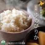 ＜農家直送＞2025年度