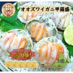 訳あり(5個)オオズワイガニ甲羅盛  北