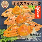 (3k)オオズワイガニ姿　北海道産　オス　6尾　北海道加工　自宅推奨　訳あり特価　丸ごと　特価　大量