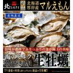 生 牡蠣 殻付き 3Lサイズ 20個 カキナイフ 軍手付 産地直送 150g以上/個 北海道 厚岸産 マルえもん カキ かき 生食用 生牡蠣 3lサイズ ギフト お歳暮 お正月