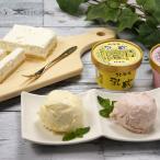 ショッピングお中元 アイス 北海道アイスクリーム＆レアチーズケーキ　送料無料　差し入れ　お取り寄せ　お中元　お歳暮　ギフト　贈答品