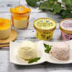 ショッピングお中元 アイス 北海道アイスクリーム＆マンゴープリン　送料無料　差し入れ　お取り寄せ　お中元　お歳暮　ギフト　贈答品