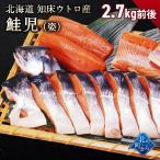 幻の鮭 鮭児 3kg前後 姿 北海道 知床ウトロ産 けいじ ケイジ 高級魚