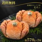[ бесплатная доставка ] Hokkaido o сигнал tsuk производство шерсть .. примерно 570g×2 хвост Hokkaido самец . ваш заказ четырёхугольный волосатый краб краб краб кастрюля краб подарок по случаю конца года подарок Новый год ваш заказ 