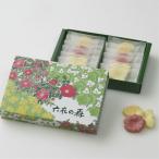 【ゆうパケットで配送