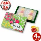 【ゆうパケットで配送