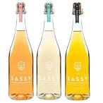 シードル SASSY りんごのお酒ノルマンディー産 高級シードル 組み合わせ 750ml×3本セット