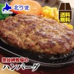 宗谷岬牧場のハンバーグ 1箱 120g×4個入り ×5