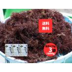  токоротен .. Nagasaki префектура производство небо .90g×3 пакет всего 270g местного производства натуральный .... токоротен. элемент ручная работа для без добавок клетчатка 