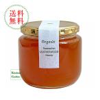  новый товар Lynn ji- san. мед иметь машина кожа дерево мед 500g Lynn z. импорт еда 