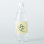 【PET】奥能登地サイダー　しおサイダー（500ml×48本）能登の海水塩、ソフトドリンク、夏ギフト、お中元、ソーダ、ジュース 送料無料 002-48-pet