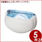  маленький размер . насекомое контейнер msipon карман для . насекомое бумага S-8 5 листов ввод насекомое брать . наклейка склеивание бумага 