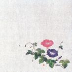 . красный гарантия . бумага маленький (100 листов входит ) утро лицо (6 месяц ~8 месяц )