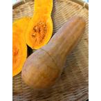  весна день ....2 шар ( тыква ) нет пестициды Kumamoto производство 