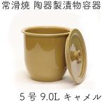 訳あり 日本製 陶器製 漬物容器 常滑焼 かめ 蓋付 5号 9.0L キャメル (陶器製) ちょっと難ありだけどご使用に差し支えありません。