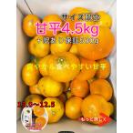 ショッピング甘平 甘平　訳あり　 愛媛県産 混合サイズ 4.5kg + 訳あり保証500g