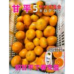 ショッピング甘平 甘平みかん　訳あり　5kg 　混合サイズ　愛媛県中島産