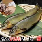 冷凍子持ち鮎 1kg <便利な個包装> 湧水育ち 栃木県 喜連川 鮎 ギフト 贈答品