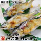 鮎の塩焼き 鮎の炭火焼 喜連川 湧水育ち 鮎 20尾入り あゆ アユ バーベキュー ギフト 贈答品