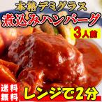 ハンバーグ レトルト ポイント消化 