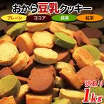 おからクッキー クッキー 硬い 訳あり ダイエット 食品 置き換え スイーツ かたい プチ ギフト お菓子 焼き菓子 人気 4種 1kg 〔200g×5セット〕