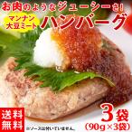 ハンバーグ 大豆ミート ダイエット ベジタリアン レトルト ポイント消化 セット お取り寄せ 肉不使用 常温保存 非常食 食品 約90g×3袋 〔メール便出荷〕