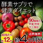 野菜酵素 野草酵素 サプリ ダイエット 国産 日本製  サプリメント 送料無料 大量 ポイント消化  約4ヵ月分 〔120日分×1袋〕 〔メール便出荷〕