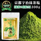 抹茶塩 宇治抹茶 沖縄塩 粉末 パウダー 無添加 純国産 石臼挽き 贈り物『抹茶２倍配合』『1袋×100g』