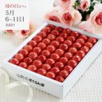 さくらんぼ 母の日さくらんぼ 佐藤錦 職人詰め L 300g 手詰め (清川屋の母の日 清川屋のサクランボ 温室そだち)