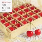 さくらんぼ 母の日さくらんぼ 佐藤錦 L 24粒 木箱  (清川屋の母の日 清川屋のサクランボ ハウス栽培 温室そだち)